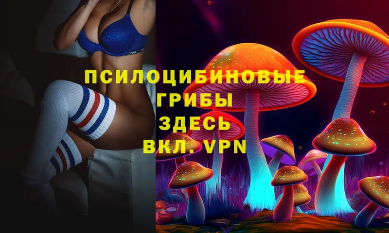 Псилоцибиновые грибы Magic Shrooms  Сосновка 